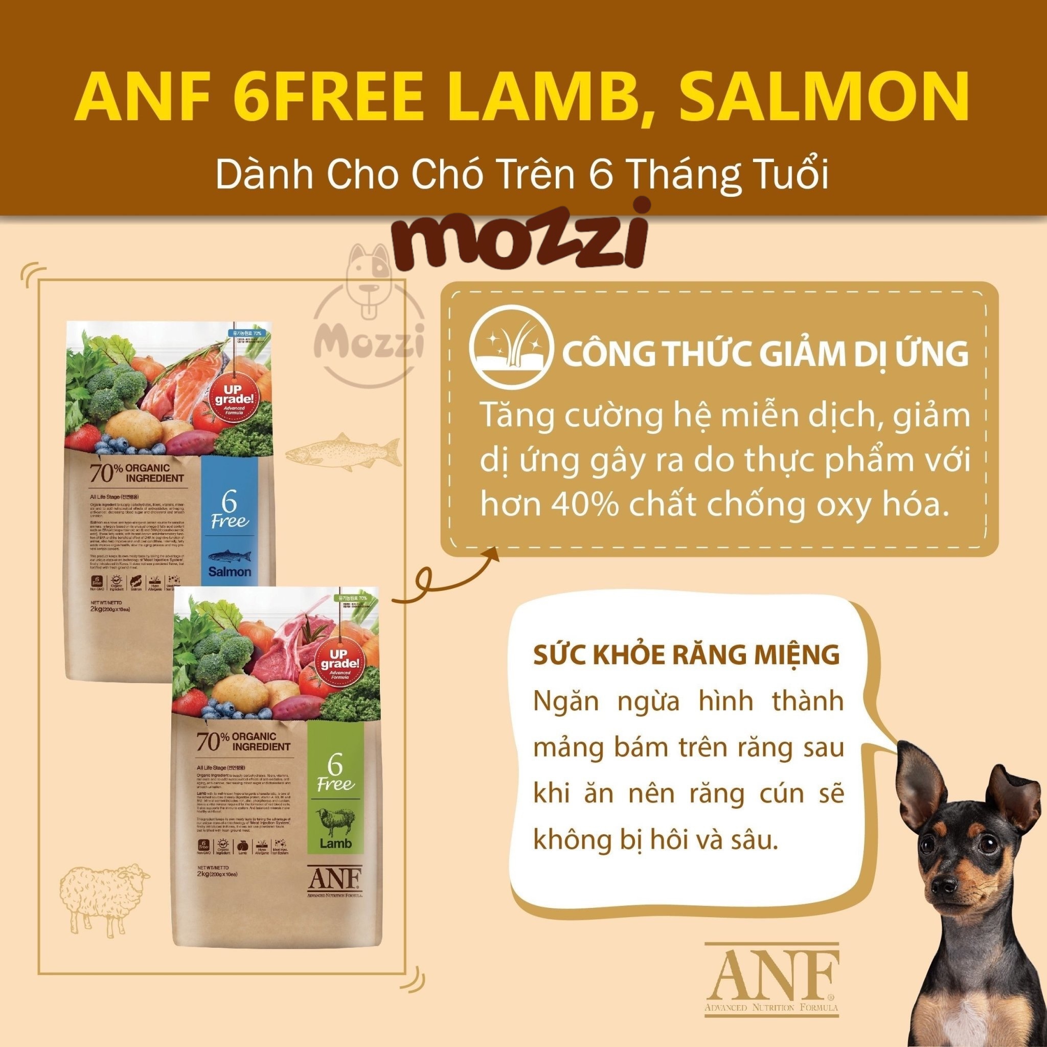 [400g - 1.6kg - 5.6kg] Thức ăn hạt hữu cơ ANF Dog 6Free+ cho chó