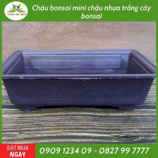 Combo 3 chậu Chậu bonsai chữ nhật Mini Vườn Sài Gòn - Vuon Sai Gon