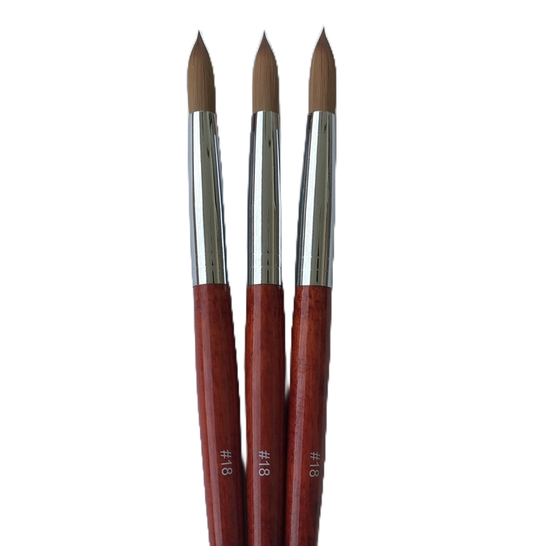 Cây cọ đắp móng bột nail, cán gỗ size số 16, 18