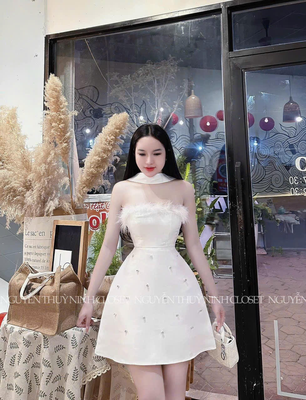 Đầm váy nữ chất liệu tapta phối lông đính cườm nhé khách yêu đẹp lung linh luôn