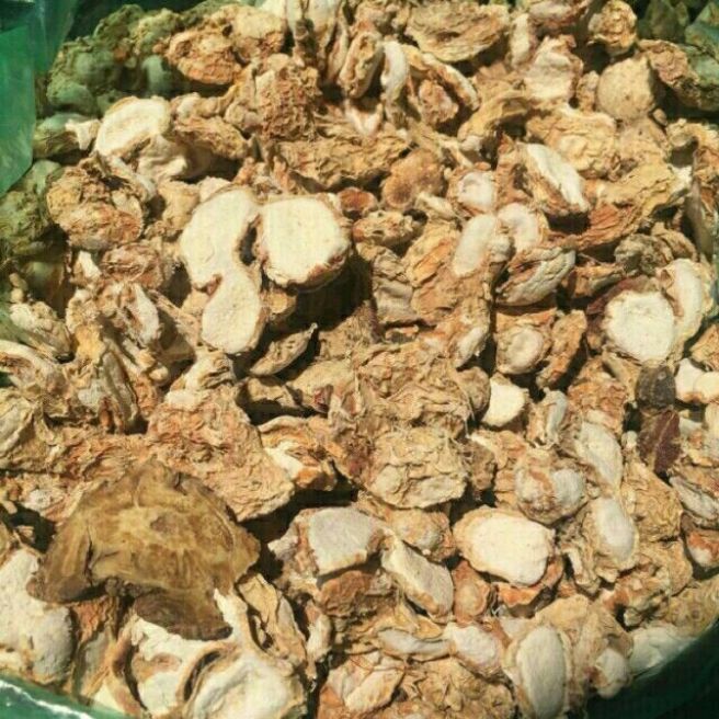 Sỉ toàn quốc 500g địa liền khô