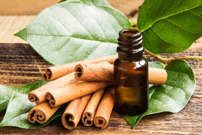 Tinh dầu vỏ quế Cinnamon - 10ml