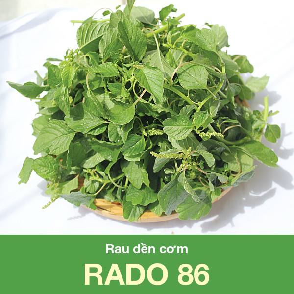 Hạt giống rau dền cơm