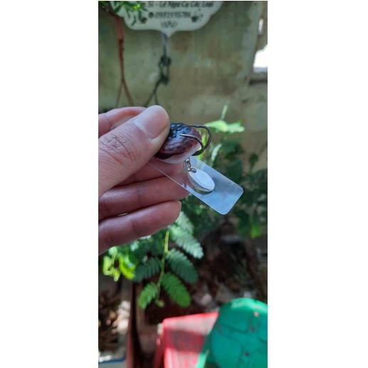 Mồi lure cá lóc thái lan