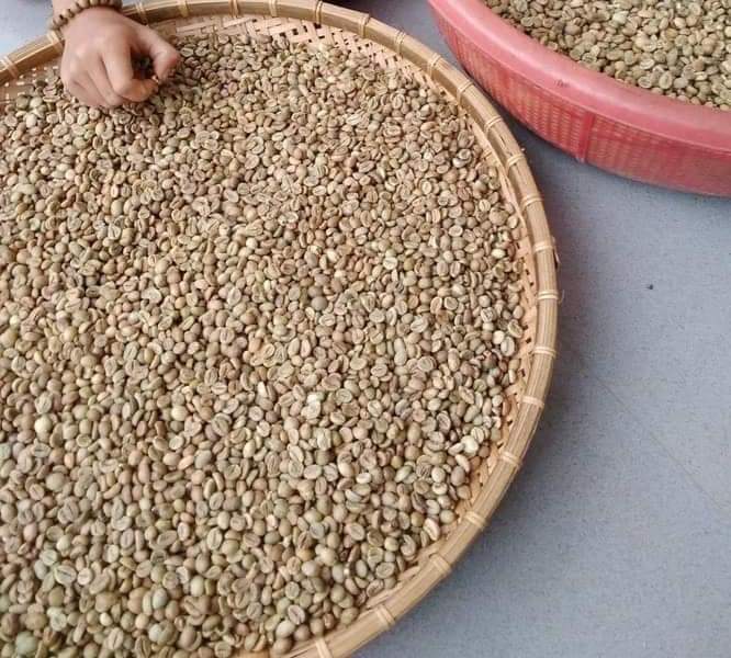 cà phê mộc rubusta + arabica Lâm Đồng cà phê pha phin 500g