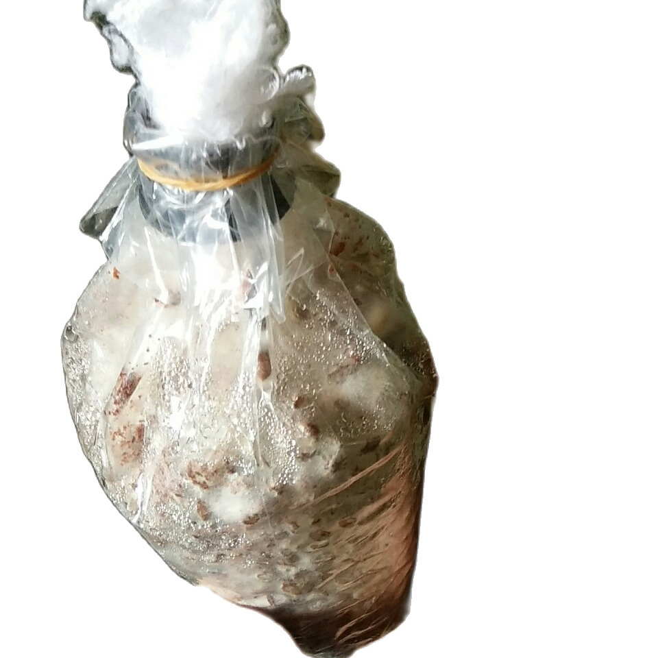 Meo nấm rơm bằng thóc