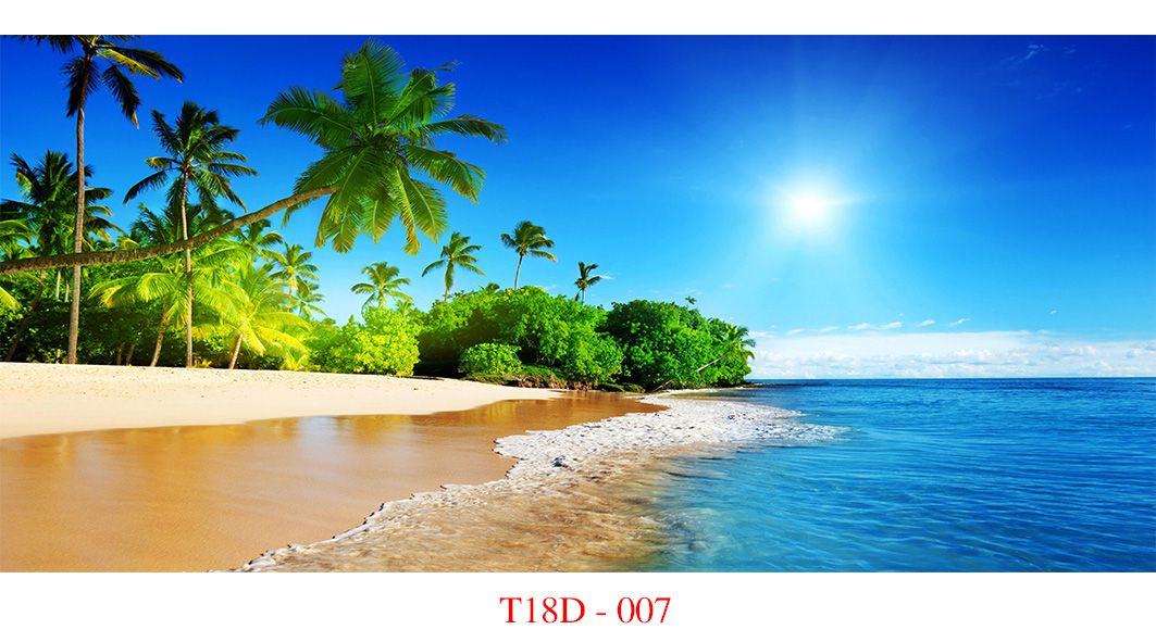Tranh 3d trang trí hồ cá, tranh có keo sẵn, kích thước đa dạng