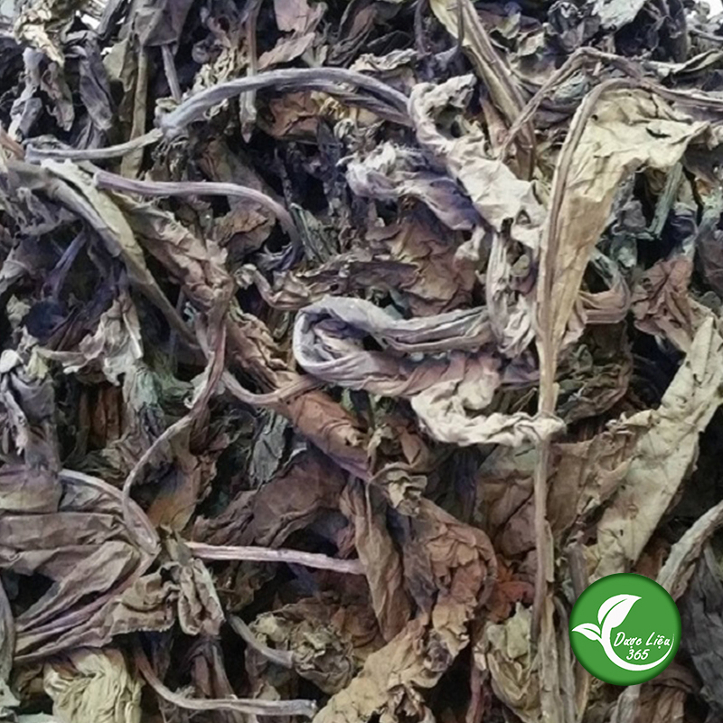 Lá khôi tía (cây khôi nhung) - 1KG - DL165