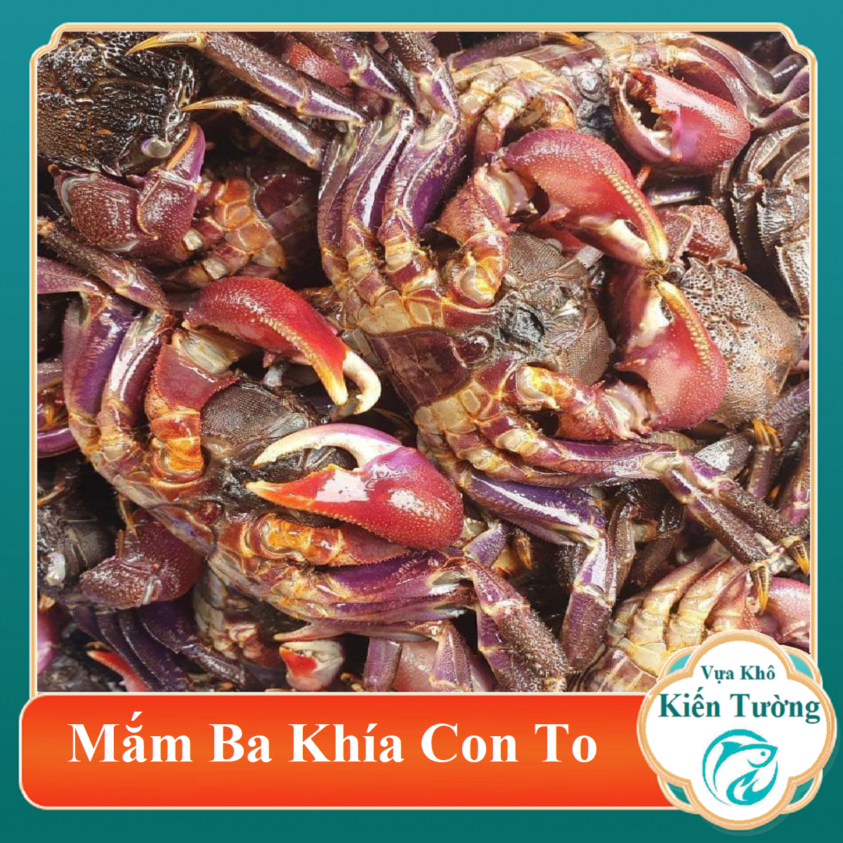 1 KG MẮM BA KHÍA NGUYÊN CON ĐẶC SẢN RẠCH GỐC BẠC LIÊU-Vựa Khô Kiến Tường