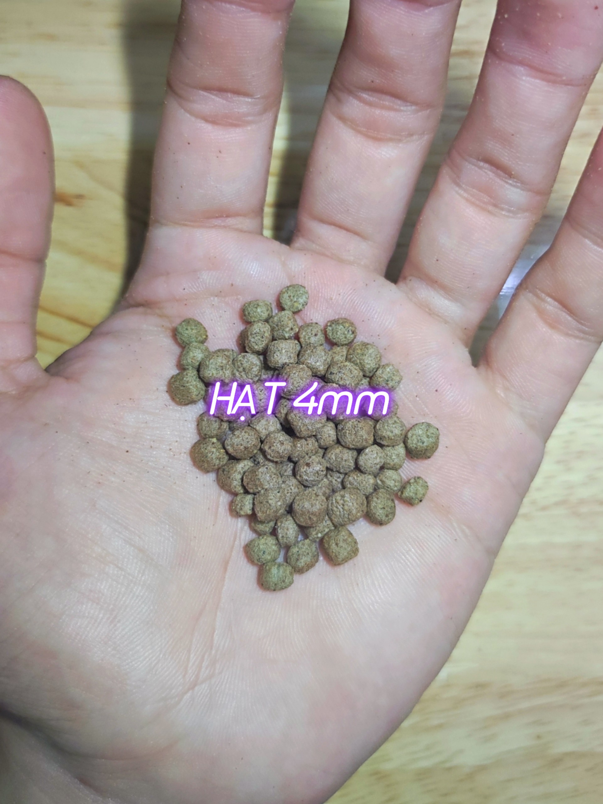 Cám thức ăn cho Rùa Nước, Baba  túi Zip Gói 100gr