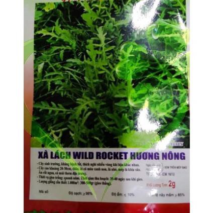 Hạt giống xà lách Rocket - gói 2 gram