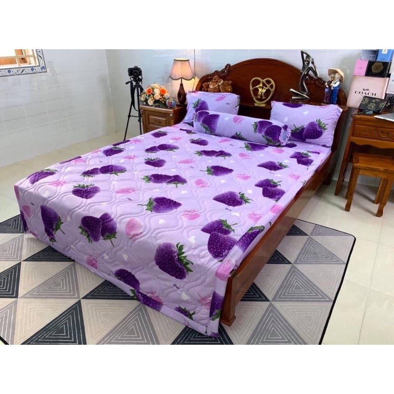 Bộ drap ga thun lạnh Hàn quốc [mẫu dâu tây] 4 món chất đẹp