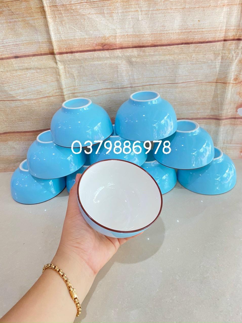 Bộ 10 chén sứ ăn cơm màu xanh pastel cao cấp