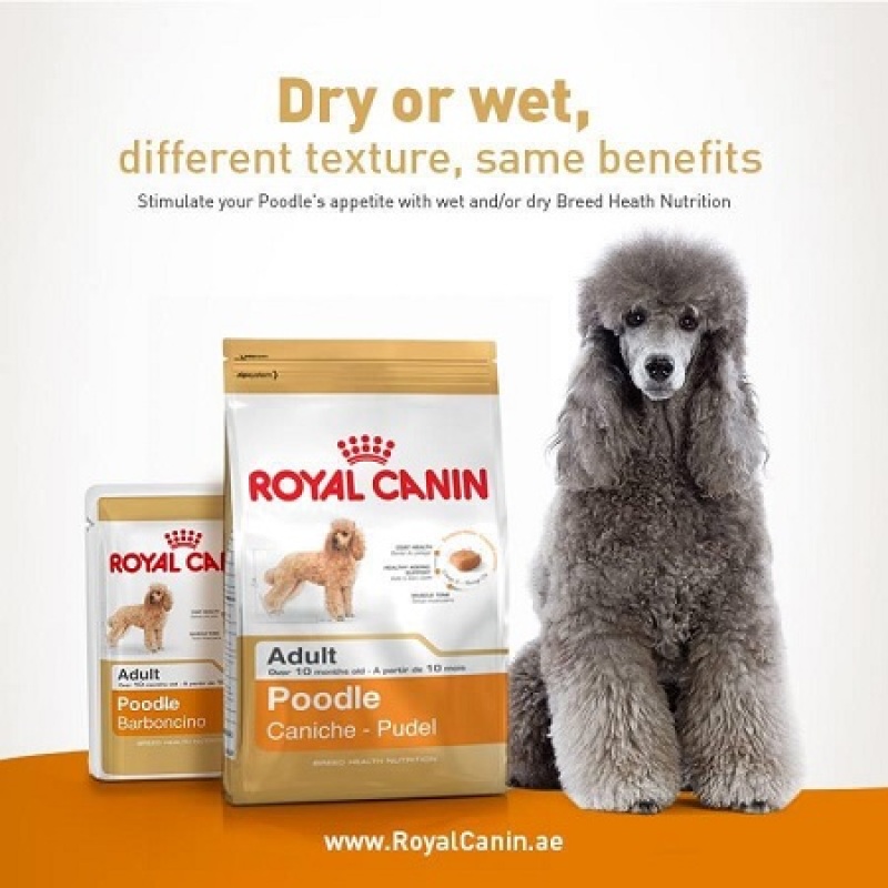 Thức Ăn Hạt Khô Royal Canin Dành Cho Chó Poodle