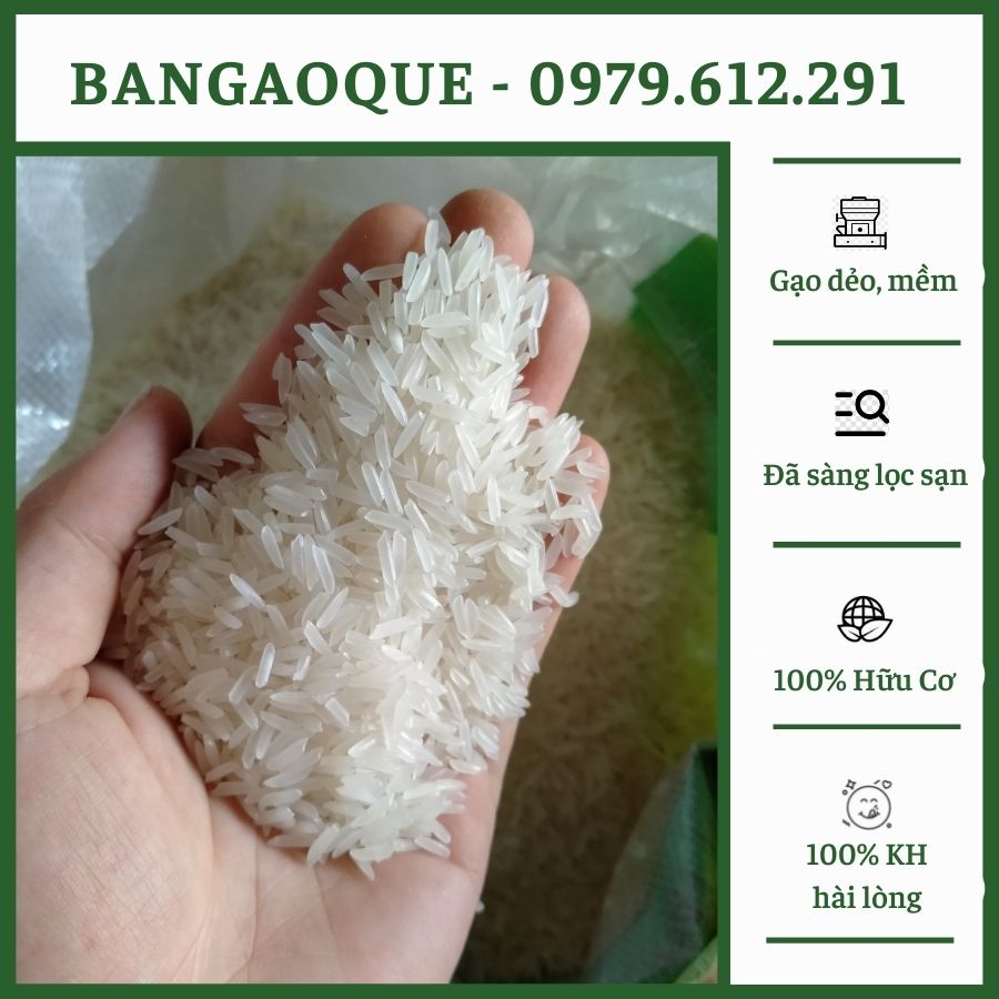 1kg Gạo ST25 - Gạo Thơm ST25 Ngon, Thơm, Dẻo(Chia từ bao to)