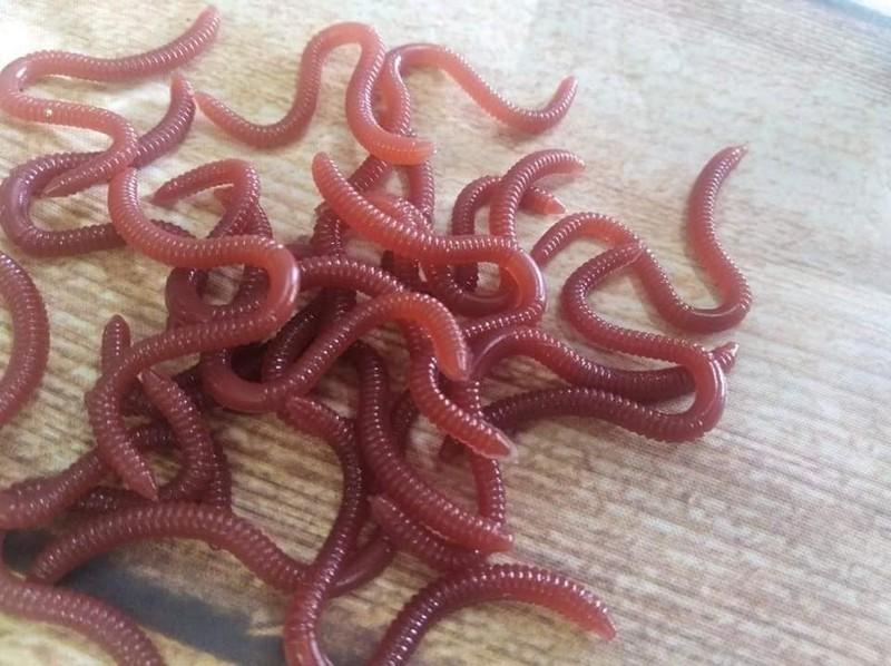 Mồi giun giả câu cá