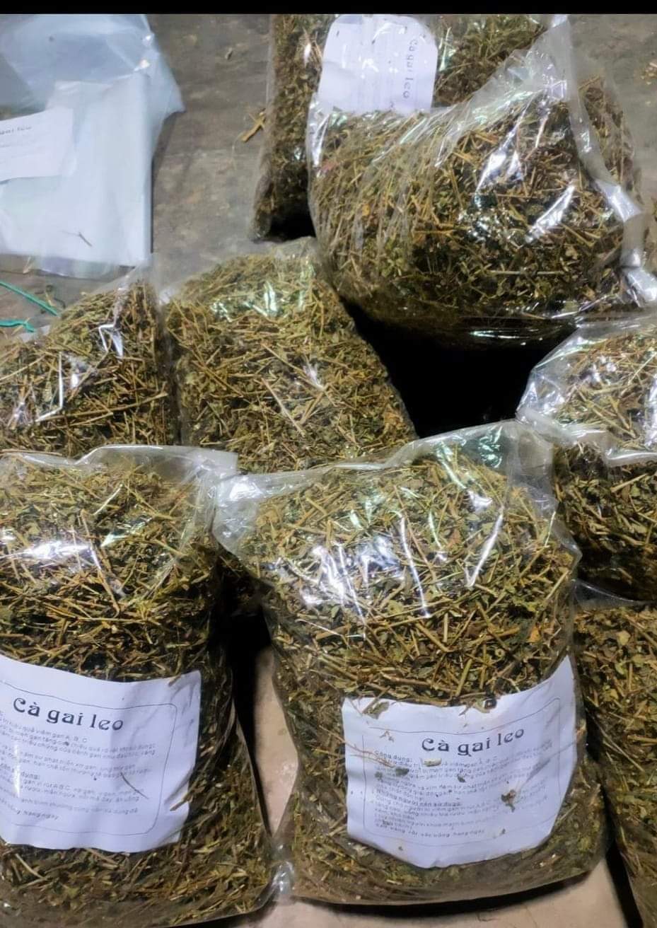 (Dược liệu khô) Cây Cà gai leo phơi khô 500g