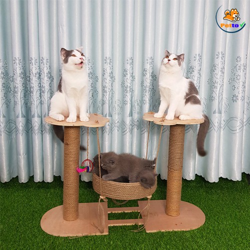 Trụ Cào Móng Cho Mèo Có Xích Đu CT011