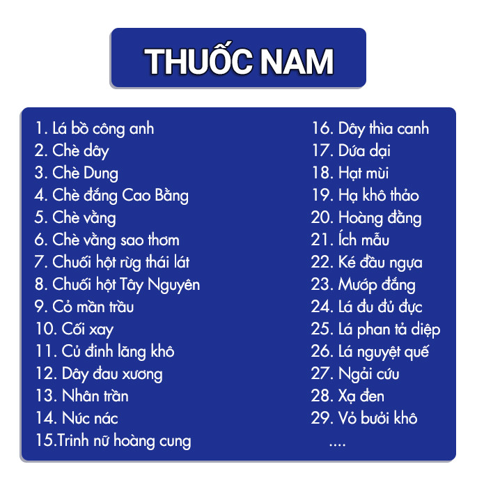 01KG Vỏ Núc Nác (Hoàng Bá Nam) Tươi Loại 1