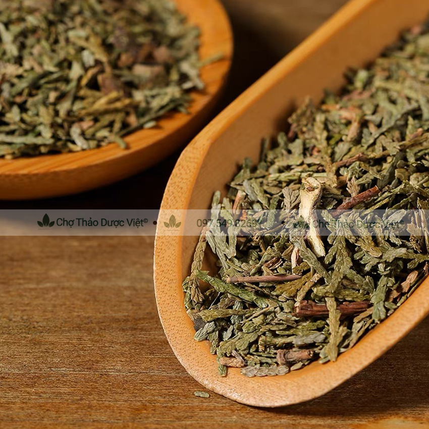 [Giá sỉ] 1kg Trắc Bách Diệp (Khô, xanh, sạch)
