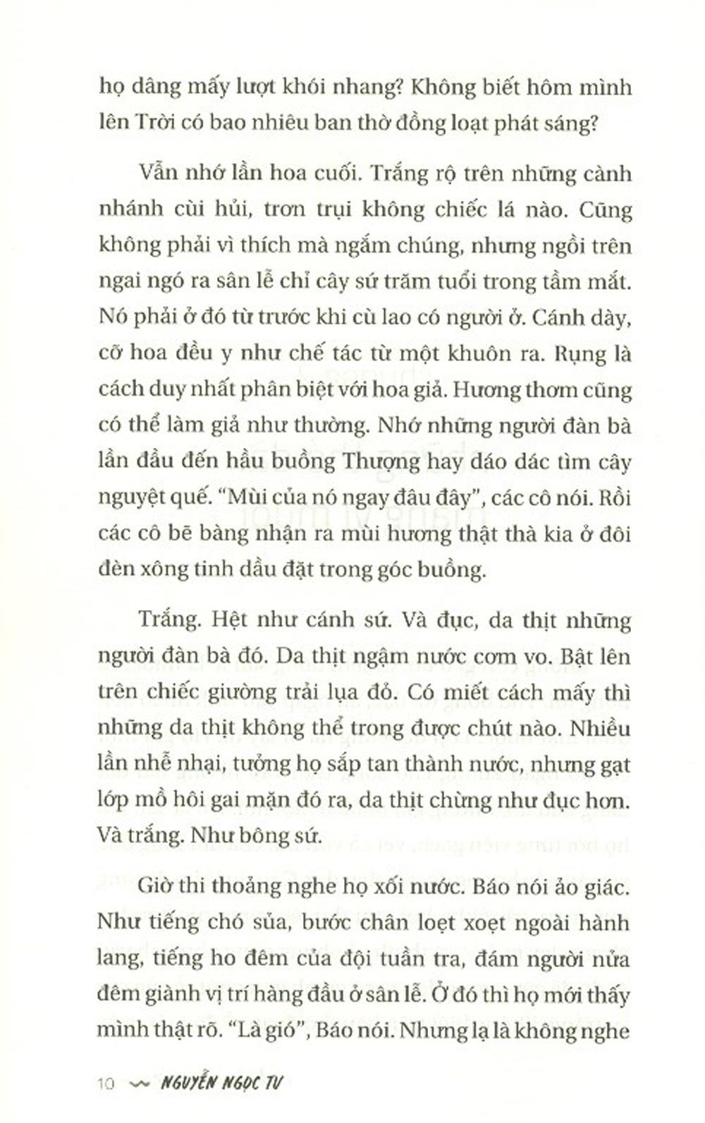 Biên Sử Nước - Tiểu Thuyết