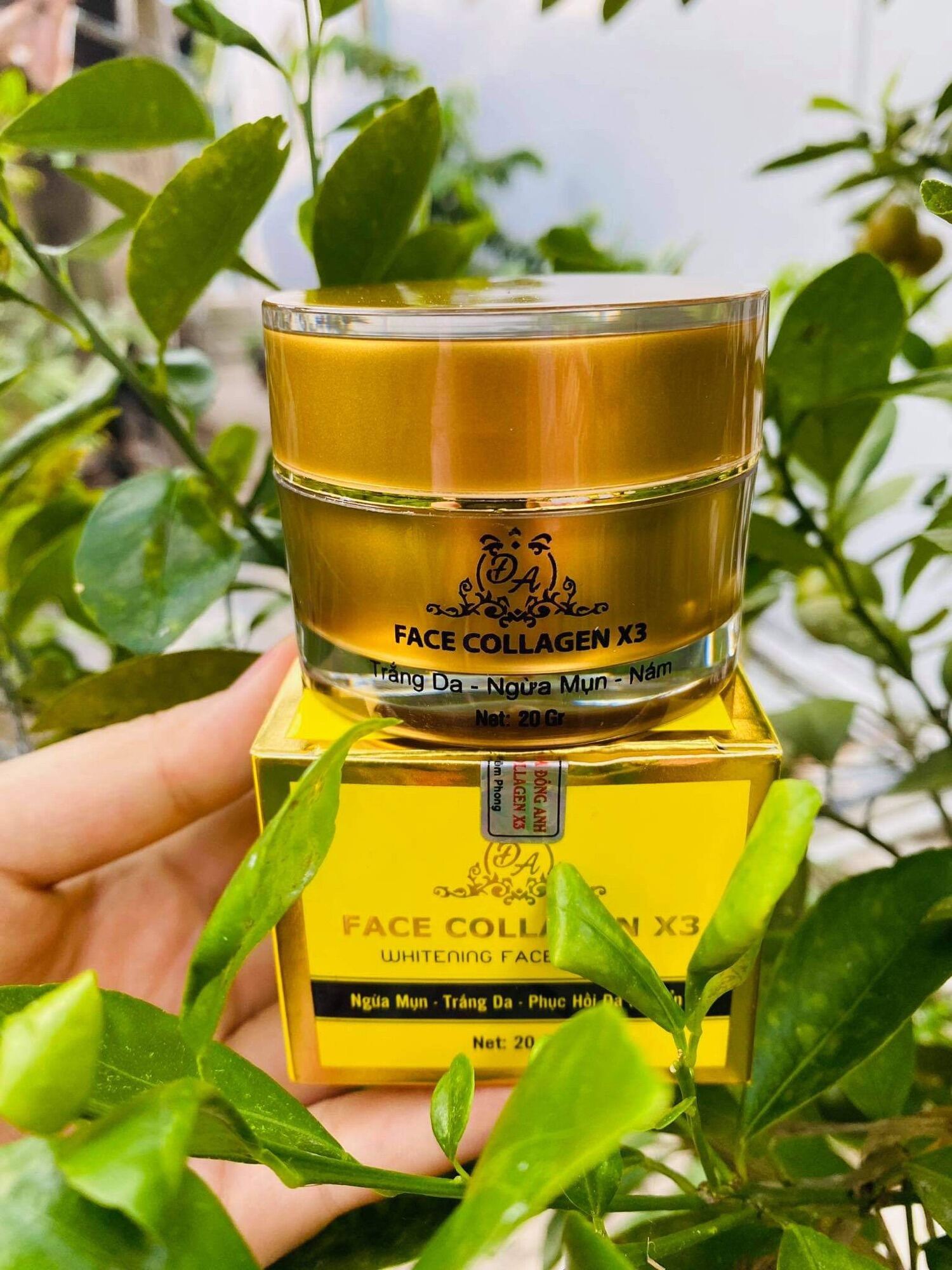 Kem Face Collagen x3 Đông Anh