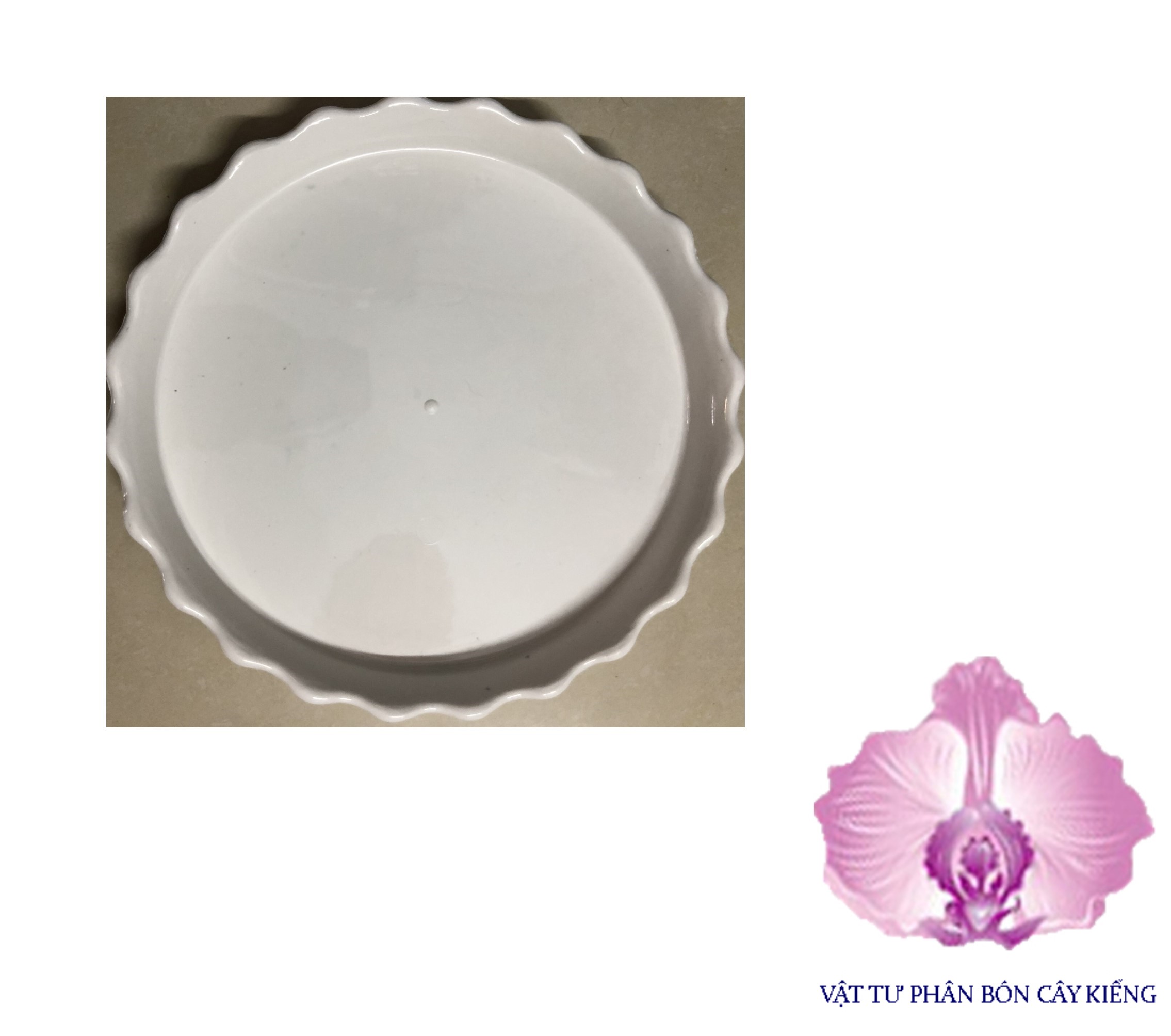 Đĩa lót chậu tròn khía 8,5cm - #046d#