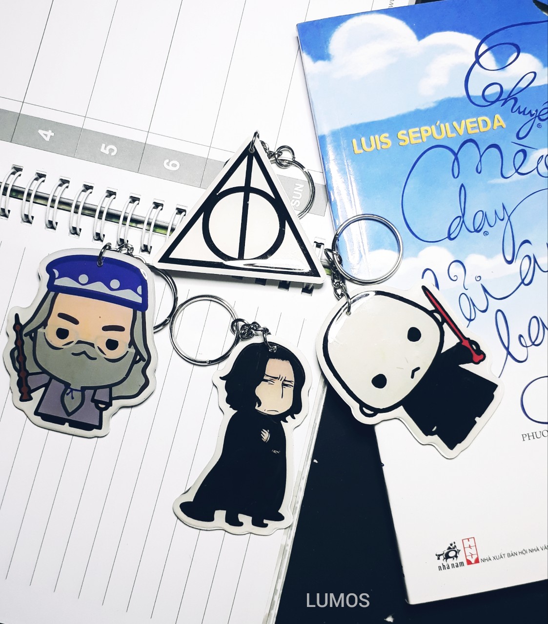 Móc khóa nhân vật Harry Potter