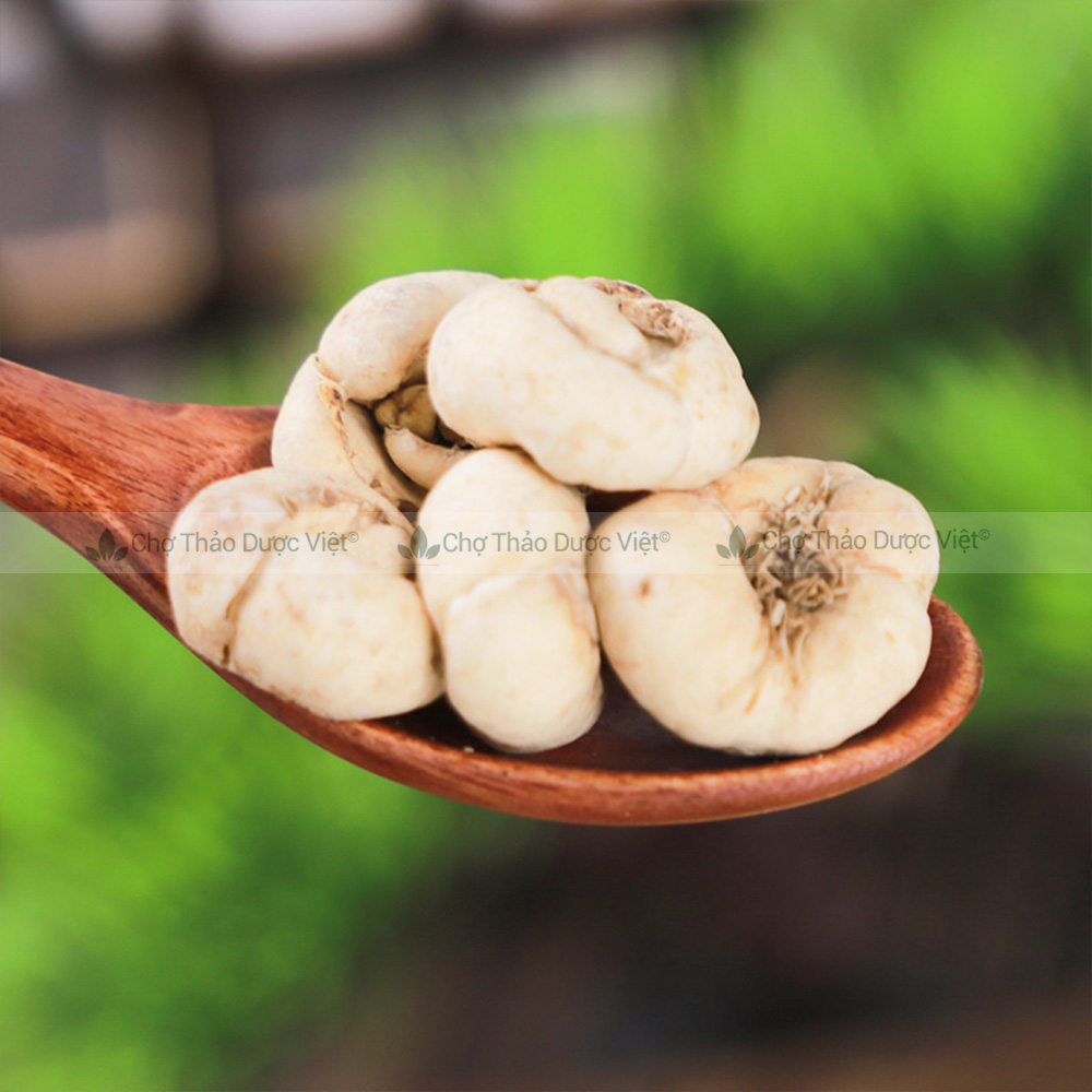 Thổ bối mẫu 100g, khô, sạch, thơm, dùng pha trà, hầm canh, hỗ trợ giảm ho đau họng, tiêu đờm, bổ phế