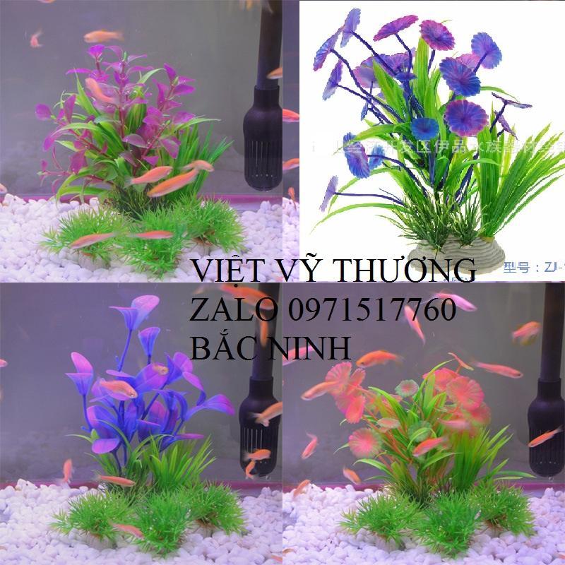 Cây trang trí bể cá nhiều màu 15cm