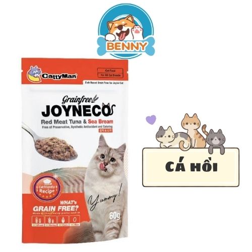 Pate Cho Mèo Biếng Ăn JOYNECO - Gói 60G