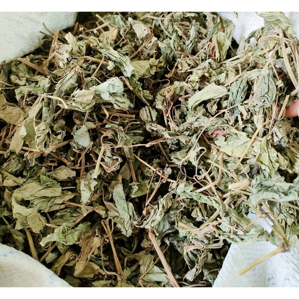 Cây lá lốt phơi khô 1kg