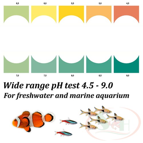 Hộp Kiểm Tra pH Sera pH Test