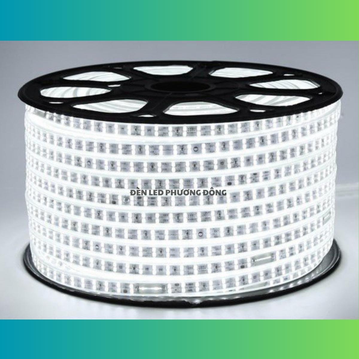 Led dây đôi 2835 - led dây trang trí ngoài trời 2 hàng bóng siêu sáng 5m - 10m