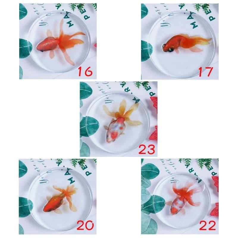 [HCM]Bộ 5 miếng Decal dán cá vàng 3D.
