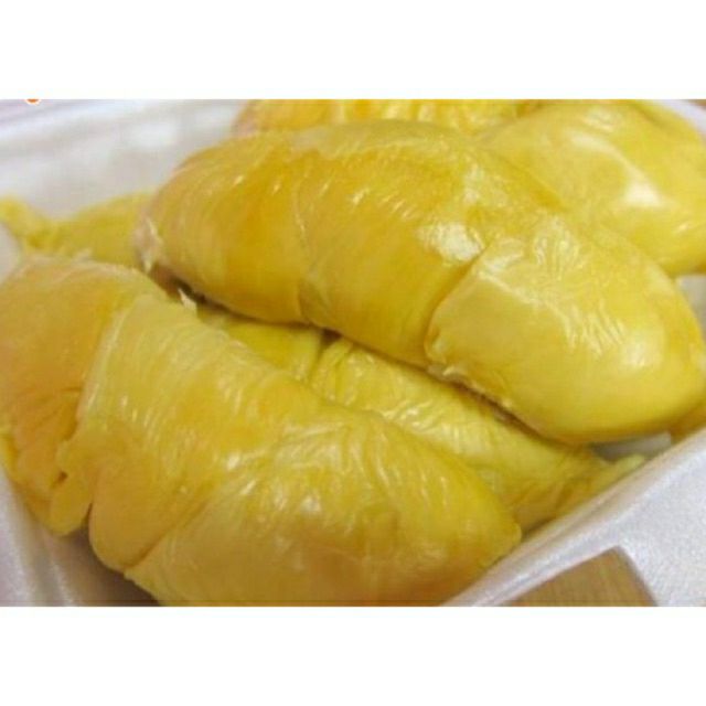 CÂY SẦU RIÊNG thái monthon (chuẩn giống)