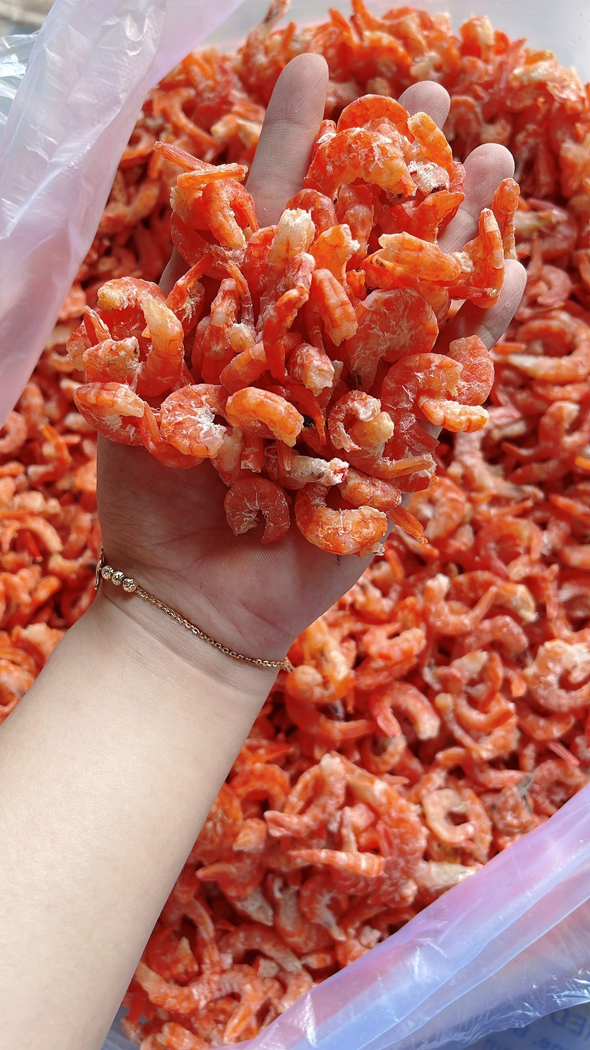 500g nõn tôm biển mềm, thơm ngọt