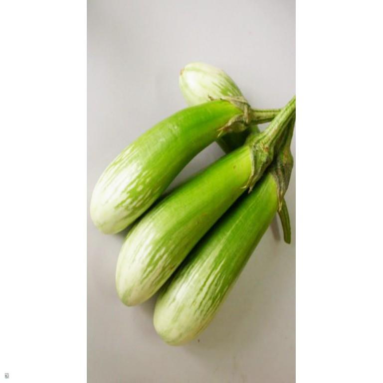 Hạt giống Cà Phổi Sọc lem F1 - Gói 1 gram