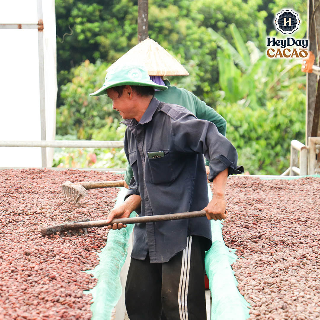 Bột ca cao sữa (Heyday Cacao) - 240g | hot cocoa, sữa dừa