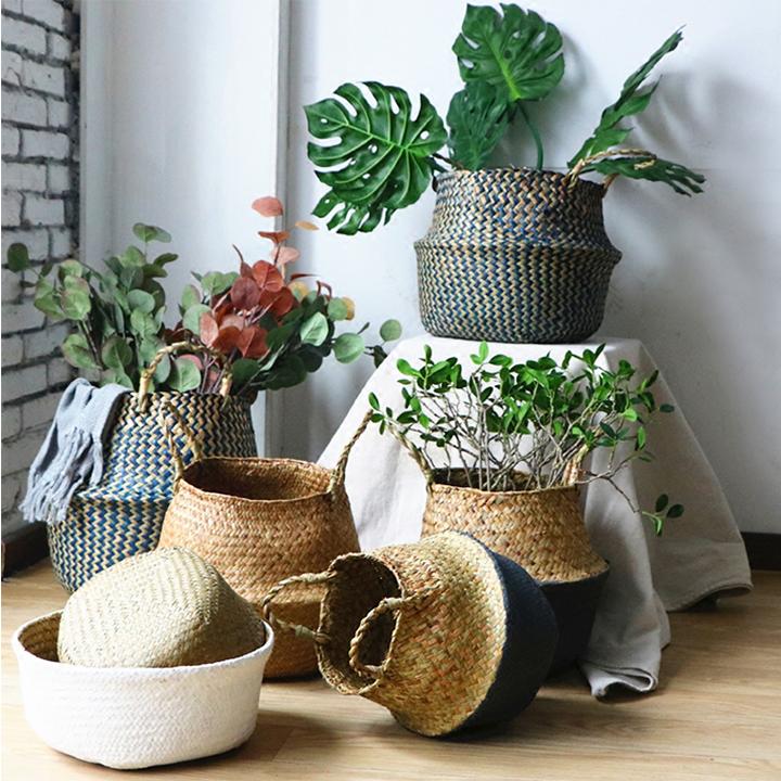 Giỏ cói trồng cây