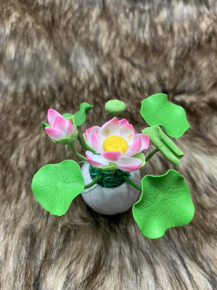 [HCM]Chậu hoa sen đất sét mini thủ công