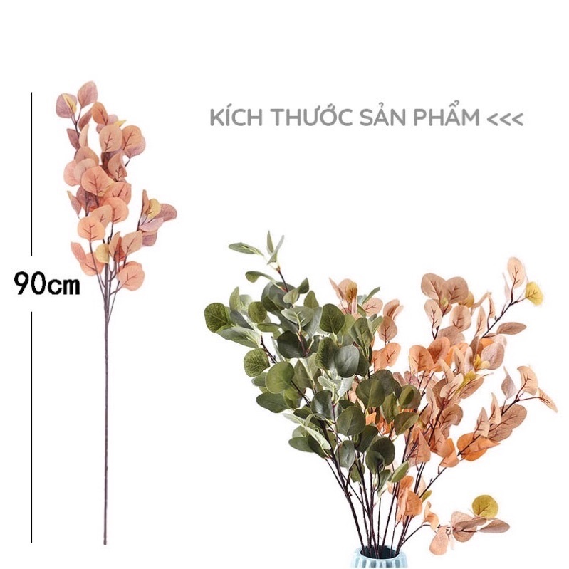 Lá Bạch Đàn Size To Đẹp, Cành Lá Bạch Đàn 013