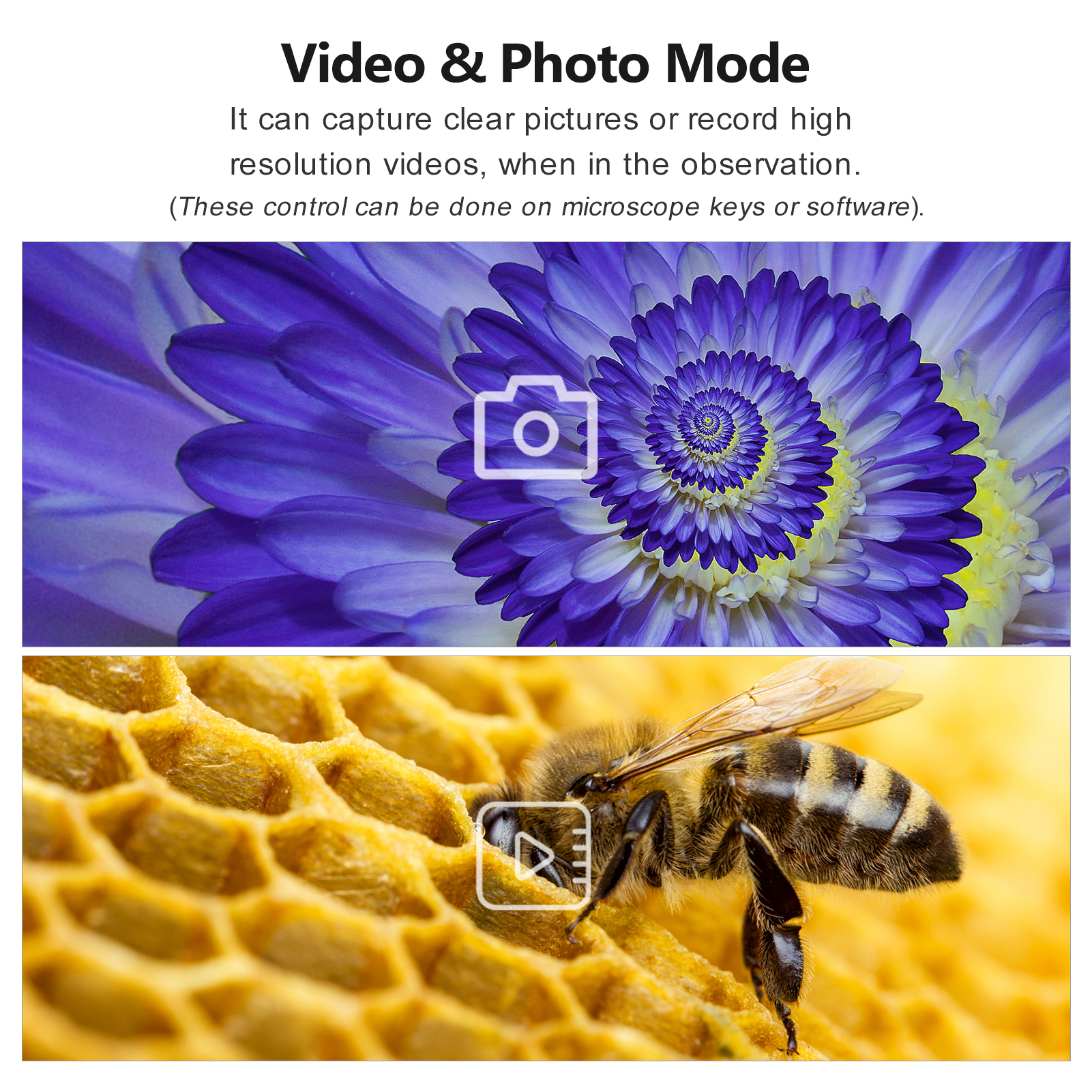 WiFi Wireless Digital Microscope Handheld Portable Microscope Camera 50X to 1000X Magnification 8 Adjustable LED Lights Compatible with iOS Android Smartphone Tablet Computer