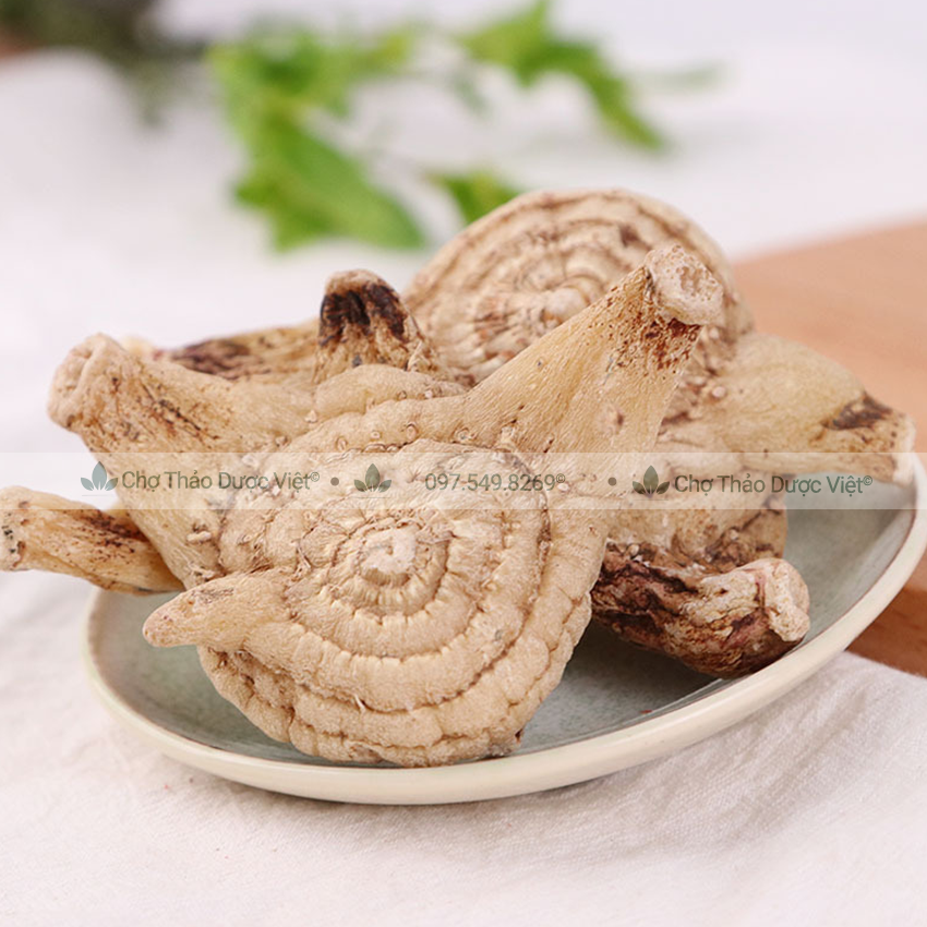 Bạch Cập 100g (Hàng Cao Cấp)