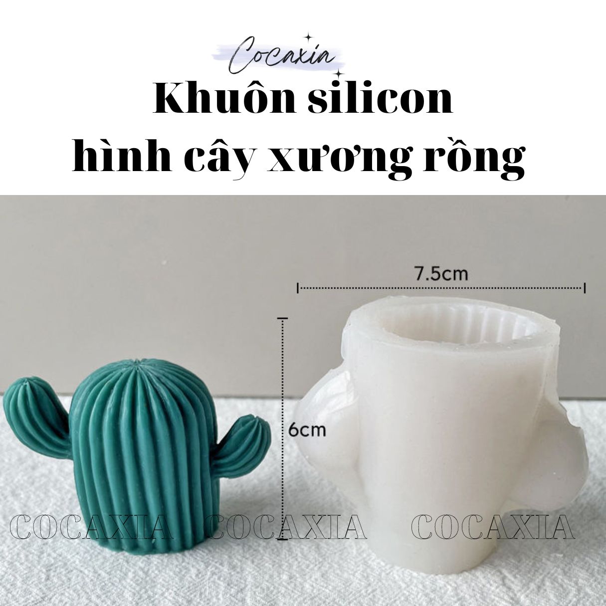 Khuôn Silicon Hình Cây Xương Rồng