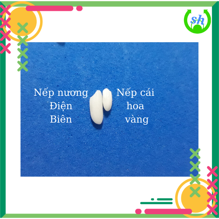 [HCM]Nếp nương Điện Biên/ nếp mèo - 1kg