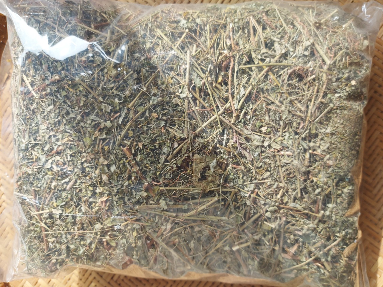 DIỆP HẠ CHÂU ĐẮNG/ CHÓ ĐẺ RĂNG CƯA