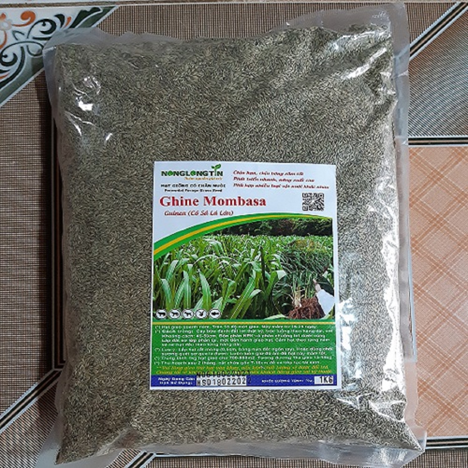 hạt giống cỏ ghine mombasa (cỏ xả lá lớn)