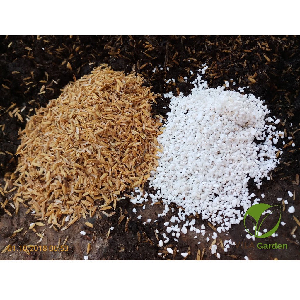 Đá Perlite - Đá Trân Châu Trồng Cây,Thủy Canh Trang Trí, Size 3 - 7mm (Gói 100gr)