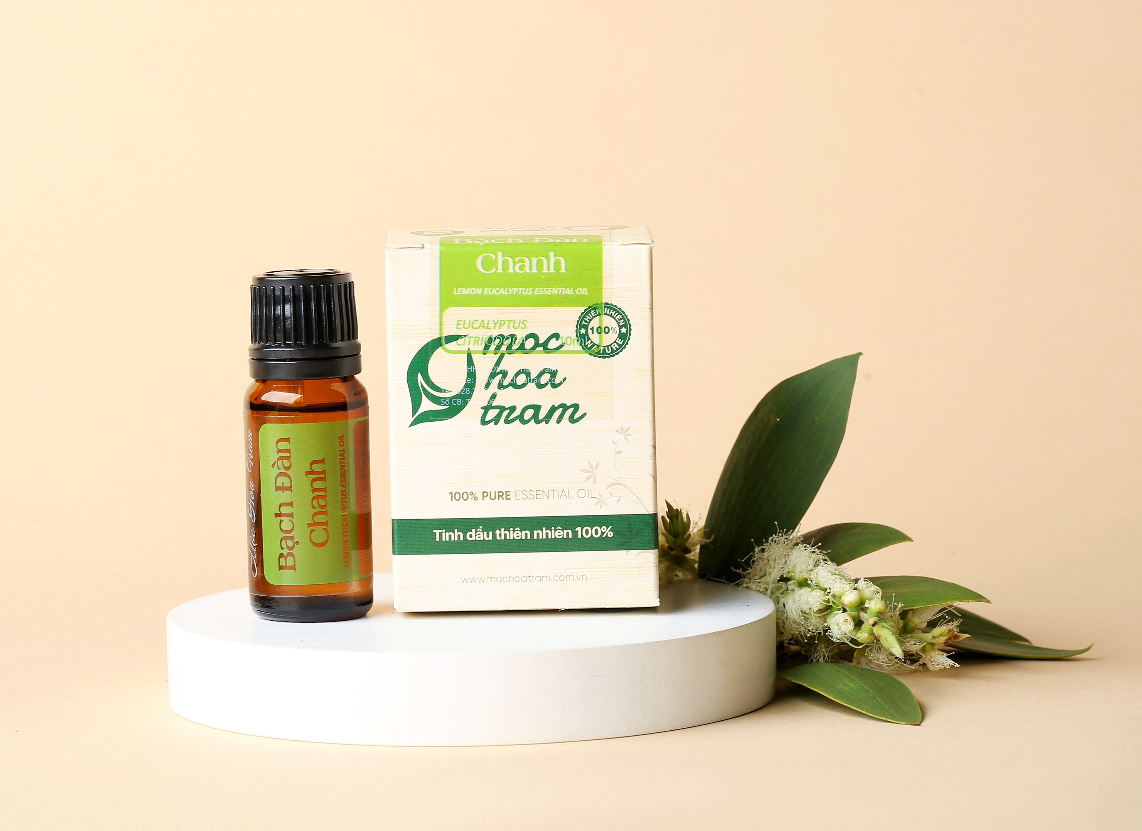 [HCM]Tinh dầu Bạch Đàn Chanh